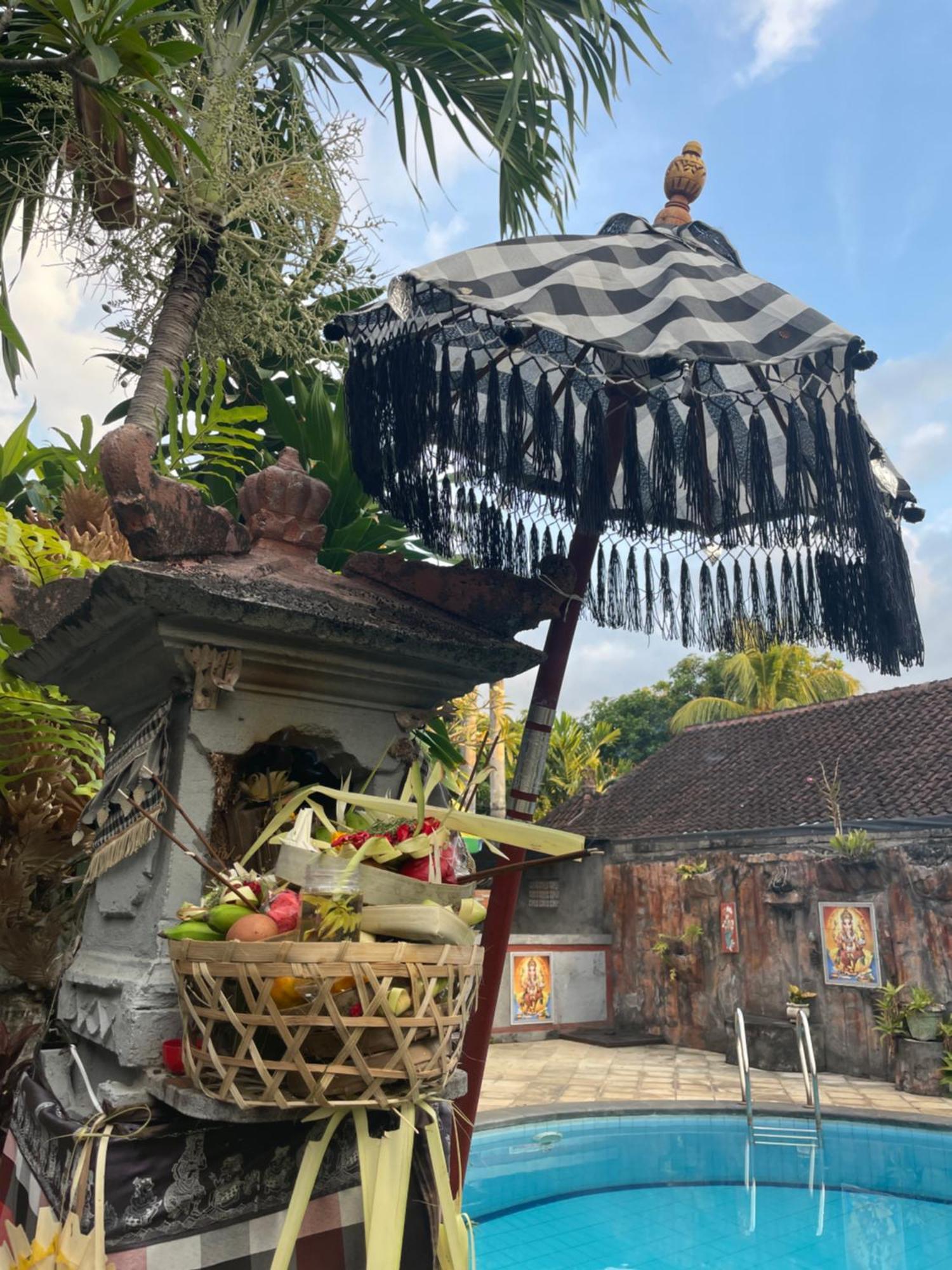 Отель Kubu Elsa Bali Ловина Экстерьер фото